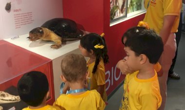 Férias com “Missão Diversão” em Manaus: Instituições promovem colônias criativas e lúdicas para o recesso escolar, abertas a alunos de todas as escolas