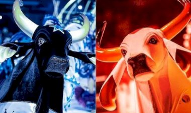 Festival de Parintins 2026 inicia programação oficial na ilha com sorteio dos bois, ensaios e grandes eventos culturais