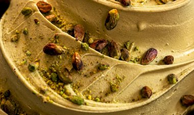 DiMolise Gelato Artigianale inaugura primeira unidade em Manaus com ação de Gelato Free