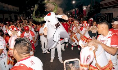 Com multidão nas ruas, Garantido mantém tradição da Matança do Boi e encerra temporada bovina em Parintins