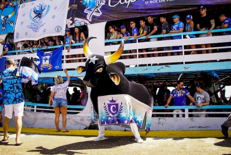 ‘Caravana Azulada’ organiza viagem para lançamento do álbum Caprichoso 2026
