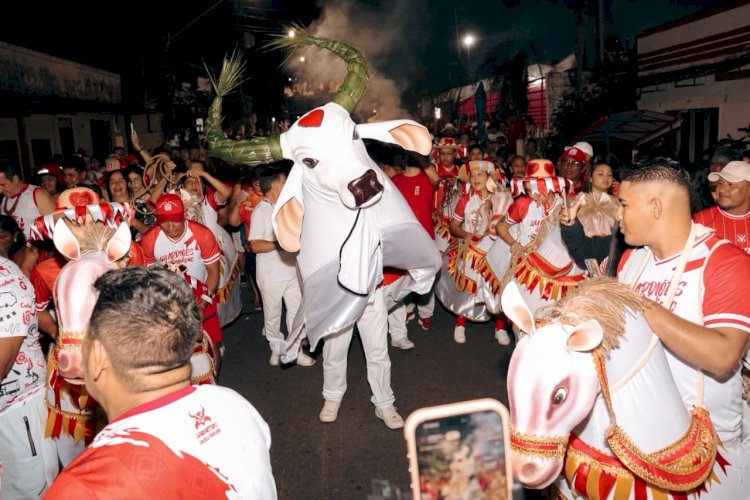 Com multidão nas ruas, Garantido mantém tradição da Matança do Boi e encerra temporada bovina em Parintins